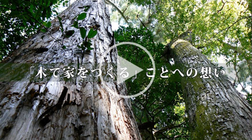 「木で家をつくる」ことへの想い／心と体に良い家を。健康木造ひのき住宅-加子母ひのきの家 / 株式会社 丸二