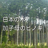 日本の木、加子母のひのき／心と体に良い家を。健康木造ひのき住宅-加子母ひのきの家 / 株式会社 丸二