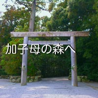 加子母の森へ／心と体に良い家を。健康木造ひのき住宅-加子母ひのきの家 / 株式会社 丸二