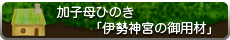 加子母ひのき「伊勢神宮の御用材」／心と体に良い家を。健康木造ひのき住宅-加子母ひのきの家 / 株式会社 丸二